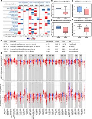 Analysis of N6-Methyladenosine Methyltransferase Reveals METTL14 and ZC3H13 as Tumor Suppressor Genes in Breast Cancer